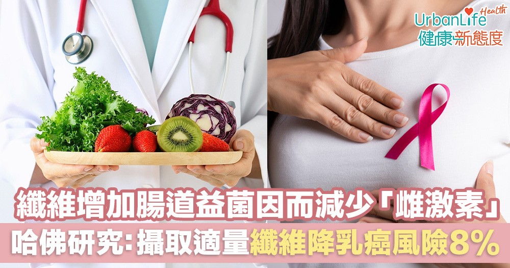 【癌症飲食】纖維增加腸道有益細菌因而減少「雌激素」 哈佛研究:攝取適量纖維有助降低患乳癌風險8%
