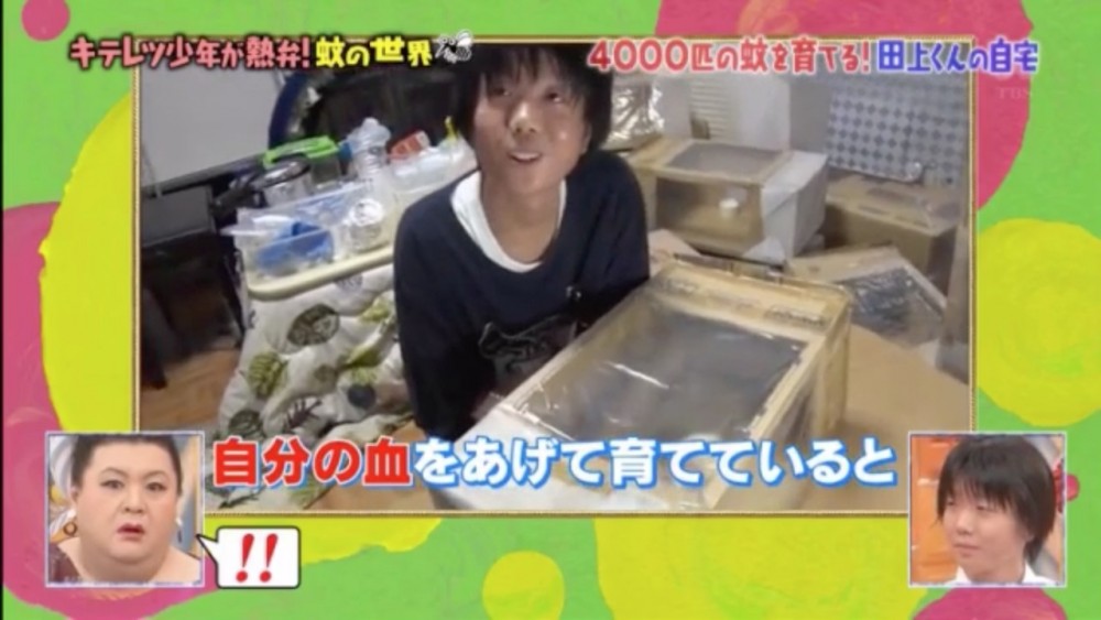 田上6年前就開始研究蚊子,家裡養了近4000隻蚊子,他表示會吸血的蚊子只有交配後的雌性蚊子。