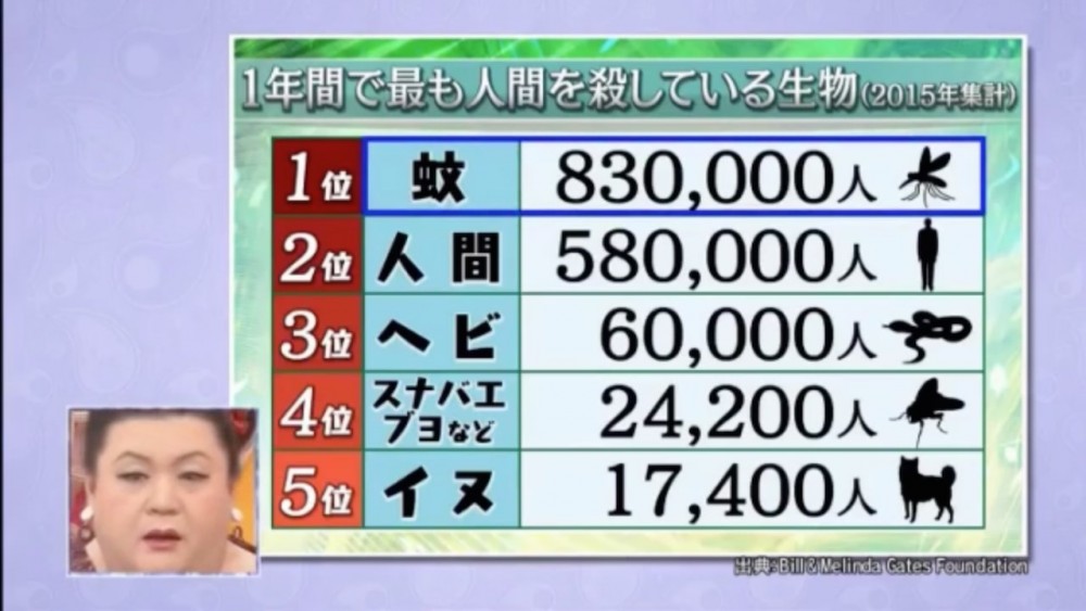 根據調查顯示,在一年內殺人最多的生物第一名就是蚊子,人類則排名第二。