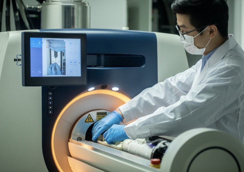 研究團隊採用香港唯一一部的3T 磁力共振小動物掃描儀，在小鼠身上進行實驗。