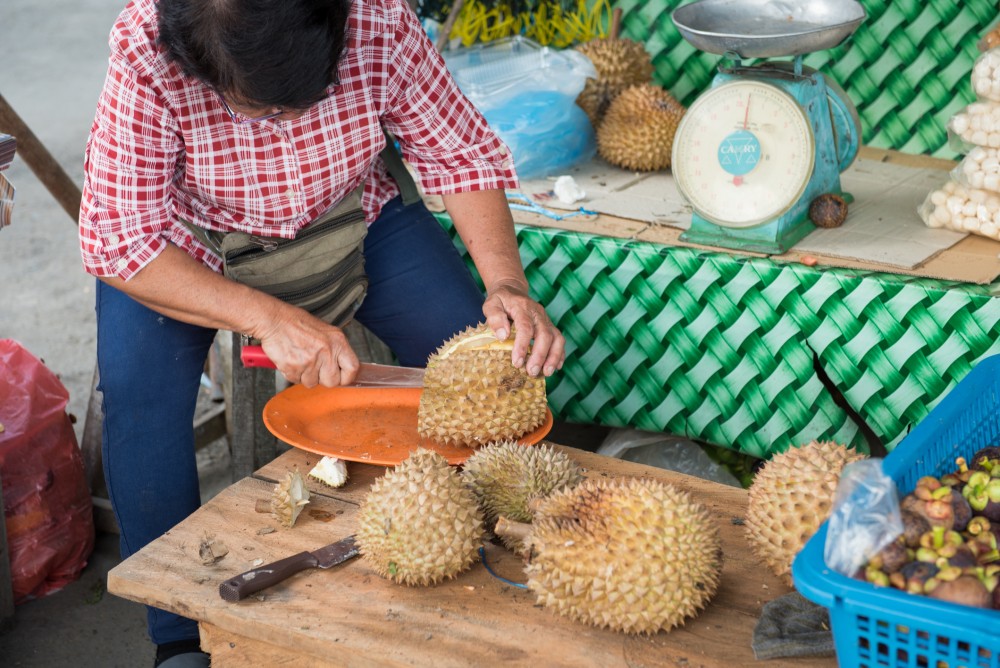 榴槤原產自東南亞。