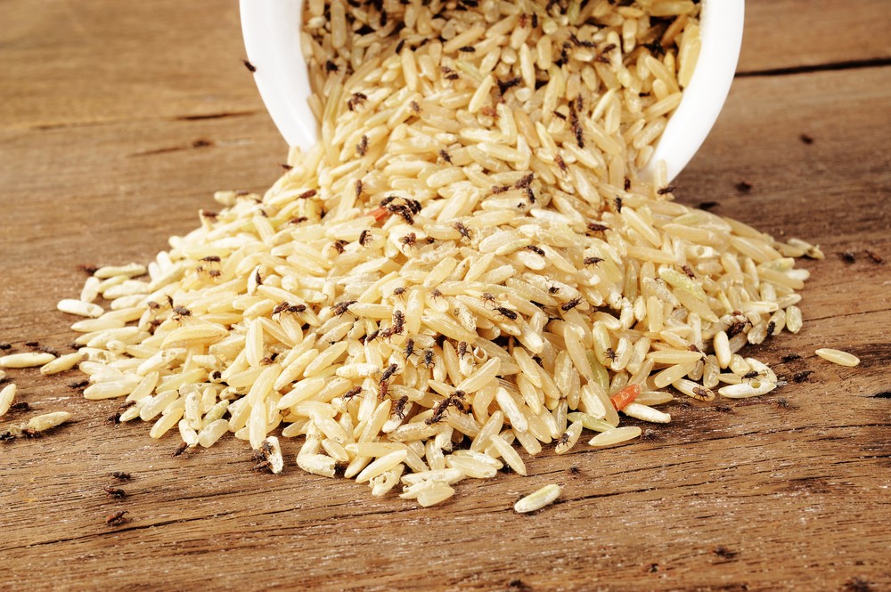 帶有穀牛的白米還是能吃的,只要洗米的時候洗掉就可以了。