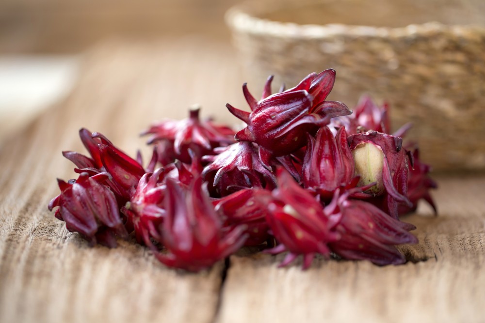 洛神花原產於印度，分佈於熱帶及亞熱帶地區，10至11月為豐產期。