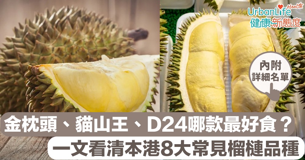 【榴槤品種】「果王」榴槤夏天當造!金枕頭、貓山王、D24哪款最好食?一文看清本港8大常見榴槤品種