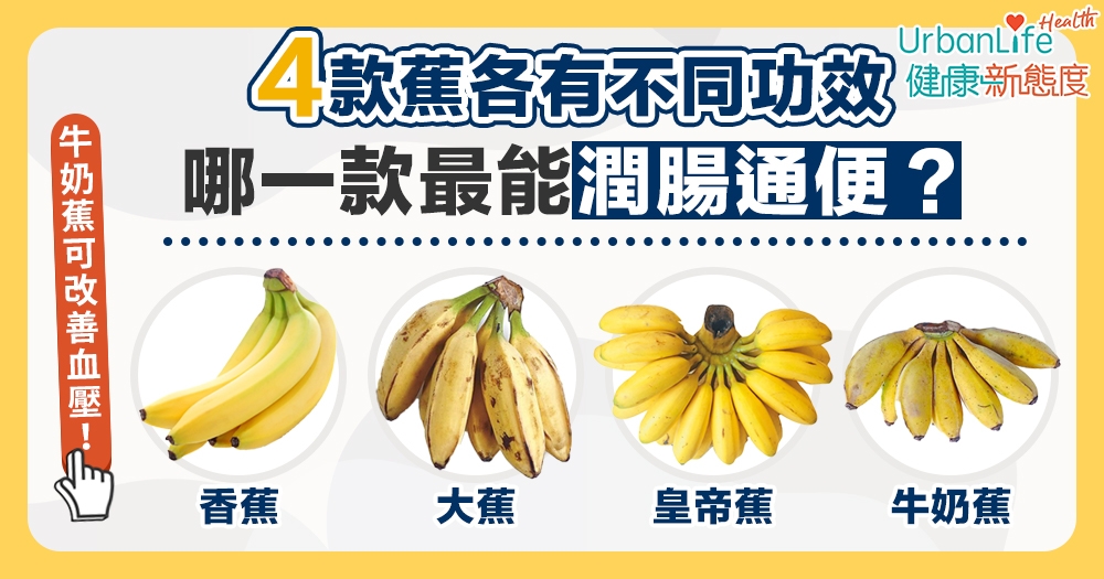 【香蕉品種】此蕉不同彼蕉!香蕉、大蕉、牛奶蕉、皇帝蕉有何不同?哪款最能潤腸通便?