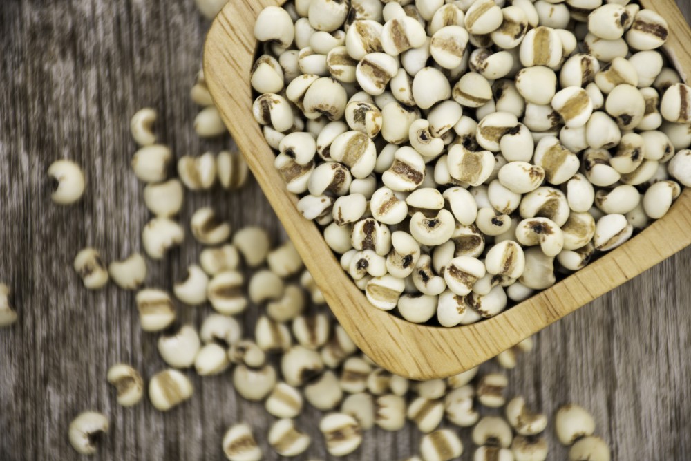 薏仁含碳水化合物、脂肪、蛋白質、纖維、礦物質鎂、維生素、薏仁多醣（Coixans）、薏仁酯（Coixenolide）。