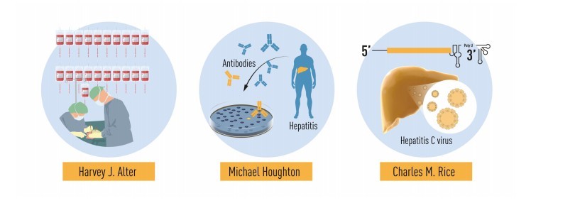 今年的三位得獎者在發現丙型肝炎的研究分別作出了不同的貢獻。
