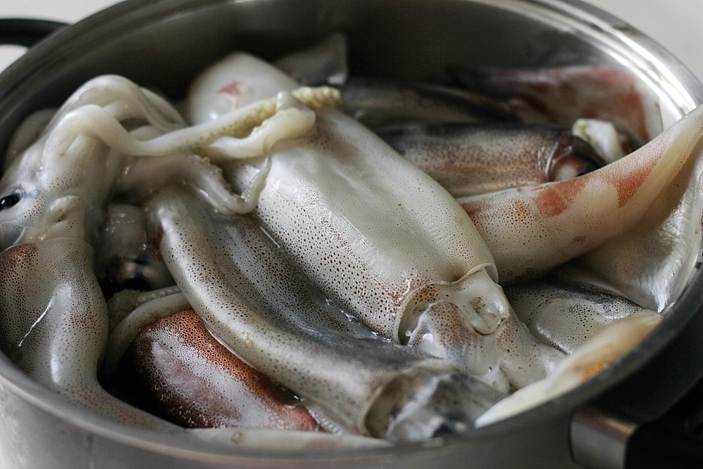 男童吃下魷魚不久就出現強烈不適，包括臉部、四肢腫漲、劇烈腹痛、嚴重腹瀉及血便等。