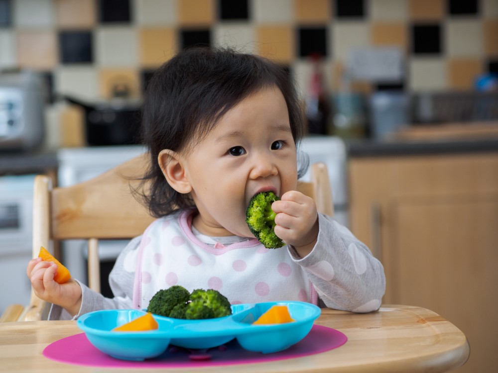 嬰兒及幼童免疫系統尚未發育成熟,同時腸道內的菌羣所起的保護作用可能不如成年人有效,故對食源性致病菌的自身防禦功能較弱。