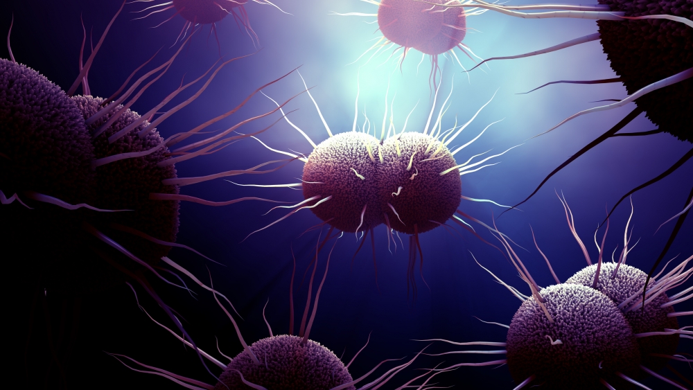 淋病是一種會影響全身的嚴重疾病，倘若不加醫治，此症會蔓延而損害其他器官，男性患者更可因此而引致睪丸感染，而女性患者會因盤腔發炎，而導致不育