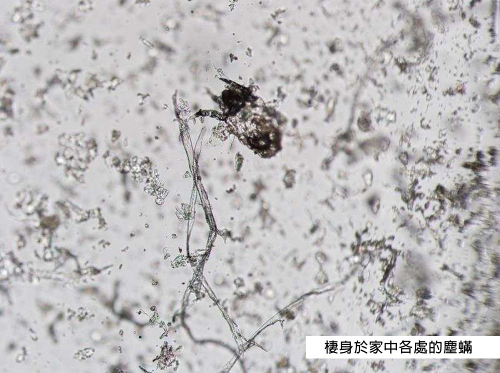 Screenshot 2020-03-05 at 6.27.02 PM