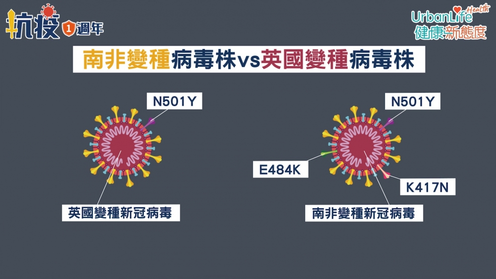 南非變種病毒有自己獨特的變異,例如K417N、E484K。