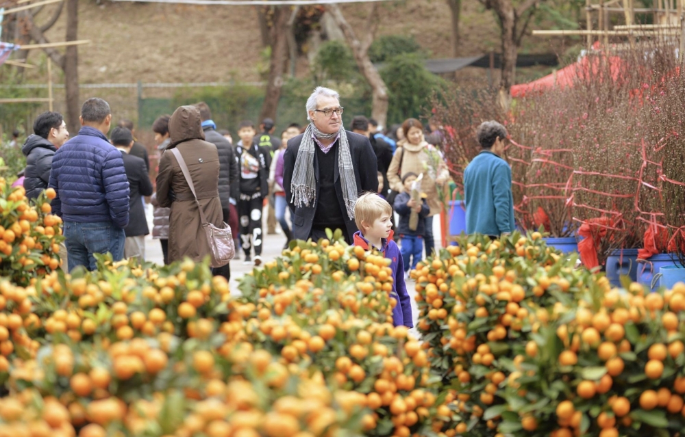 政府決定恢復在15個地點銷售年花