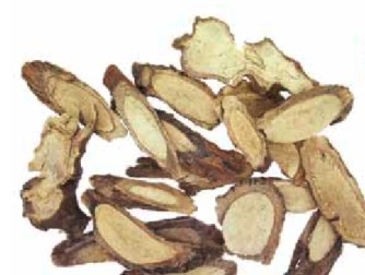生豆根有清熱解毒功效,惟服用過量恐中毒。
