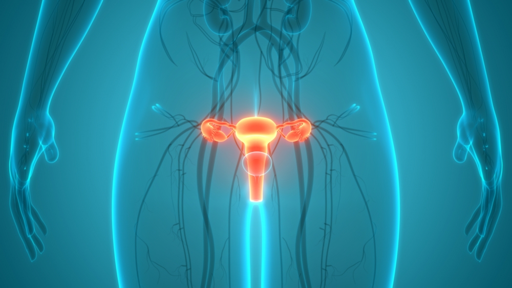 卵巢囊腫可分為良性和惡性,大多數的良性卵巢囊腫一般會在三個月內自行消失。