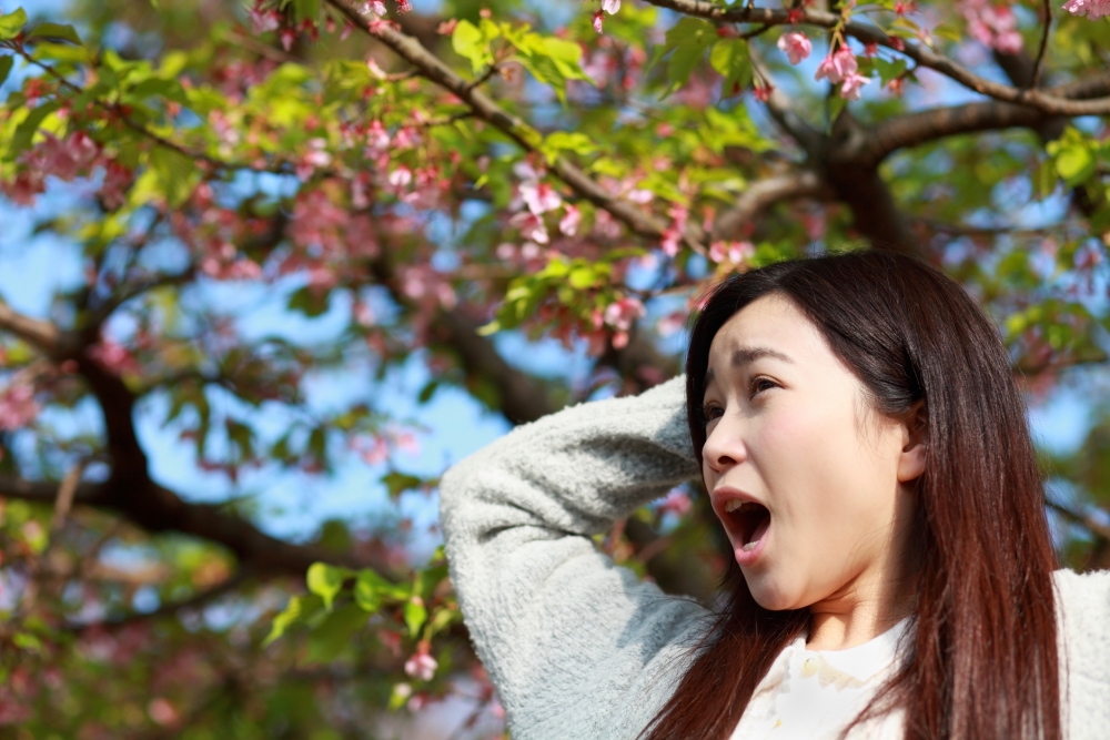 春天濕氣令人容易感到疲倦。