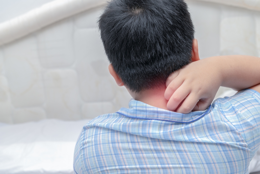 不同的皮疹疾病,如德國麻疹、猩紅熱、水痘、熱疹等應如何分辨?