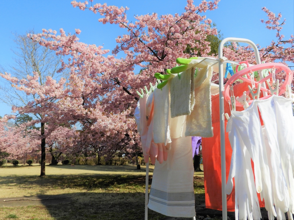 每星期徹底清洗毛巾後,然後拿去太陽低下晾曬,紫外線有效殺死細菌。