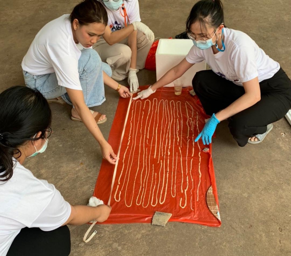泰國寄生蟲研究中心發現一名67歲男子糞便內有寄生蟲蟲卵,結果男子服藥後排出逾18米的無鉤絛蟲。