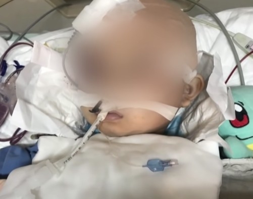 台灣日前發生一件憾事,一名7歲男童早前在進行柔道訓練時,遭教練及學長連續激烈重摔27次致腦死。
