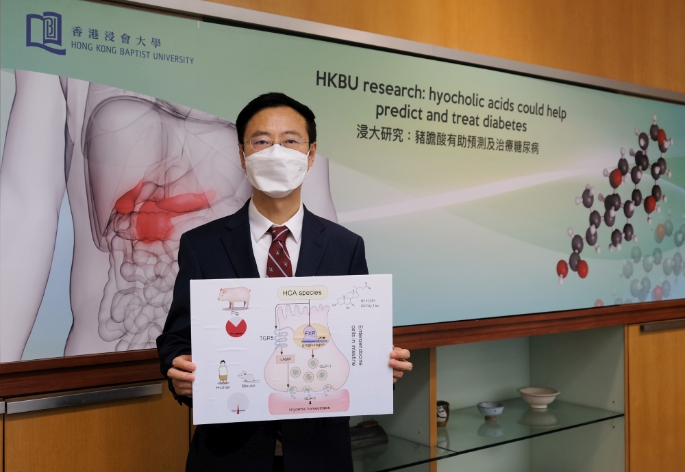 賈偉表示,由於腸道菌群可調節豬膽酸的代謝和分泌,針對腸道而非胰臟,有望成為治療糖尿病的新策略。