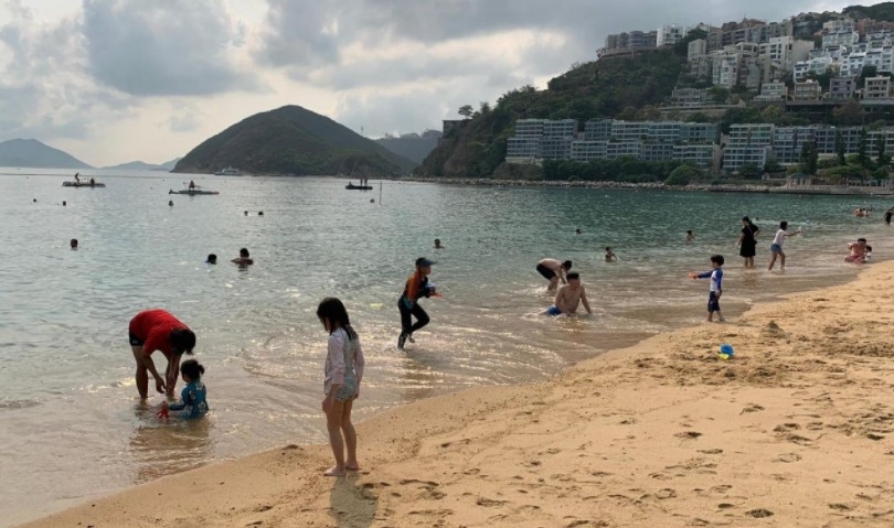 屯門黃金泳灘今早(13日)發現一條海毛蟲。