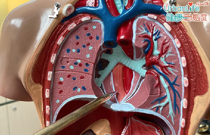 螢幕截圖 2021-04-22 下午5.19.15