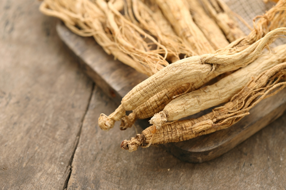 【人參功效】比較人參、西洋參、黨參、紅參 不同參類好處和食譜