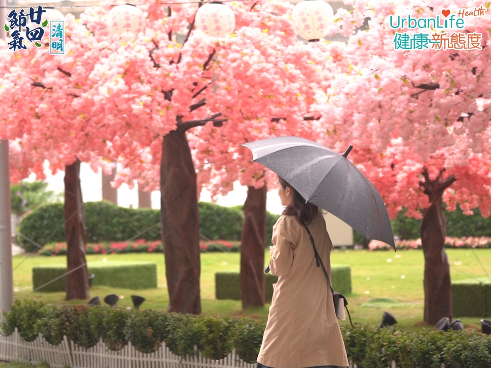 清明時節雨水會較春分多，氣溫也逐漸回升，過了清明後，基本上不會再有寒流出現。