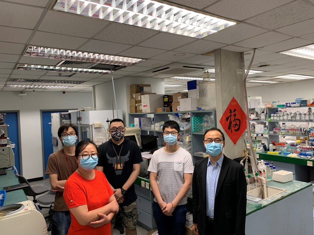 港大研發出一種新型生物製劑,針對肥胖症患者脂聯素水平偏低的問題,在實驗小鼠中有效抗癌、增強胰島素敏性。