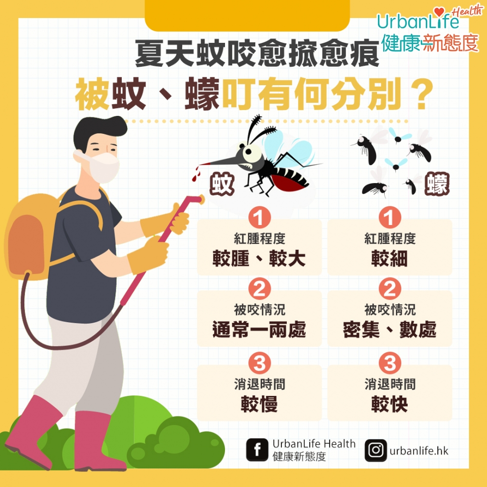 被蚊、蠓咬後3大分別