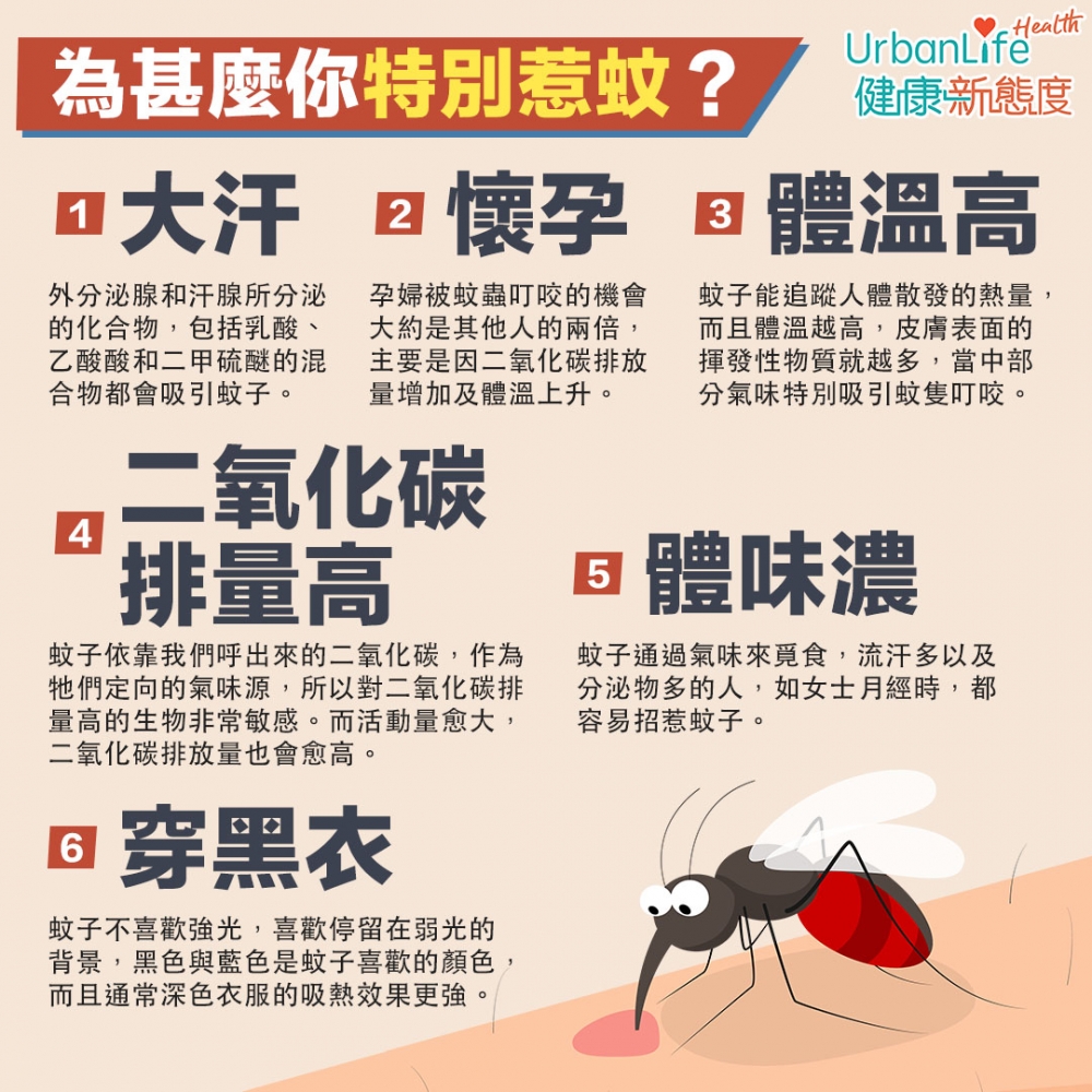 6種惹蚊體質包括大汗、懷孕、體溫高、二氧化碳排量高、體味濃及穿黑衣。