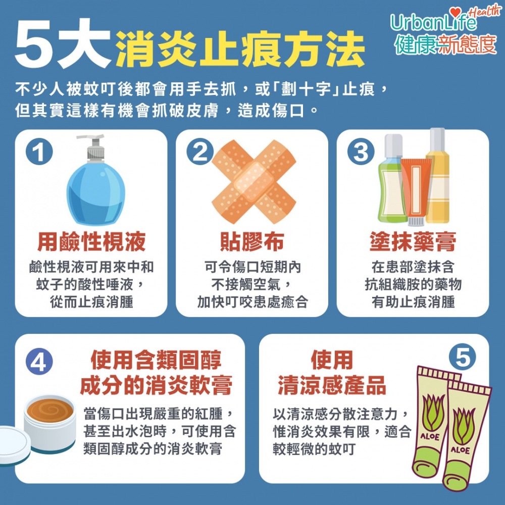除了用蚊香、蚊怕水等化學物品驅蚊,其實還有不少天然植物都有驅蚊功效,大家可以嘗試在家種植。