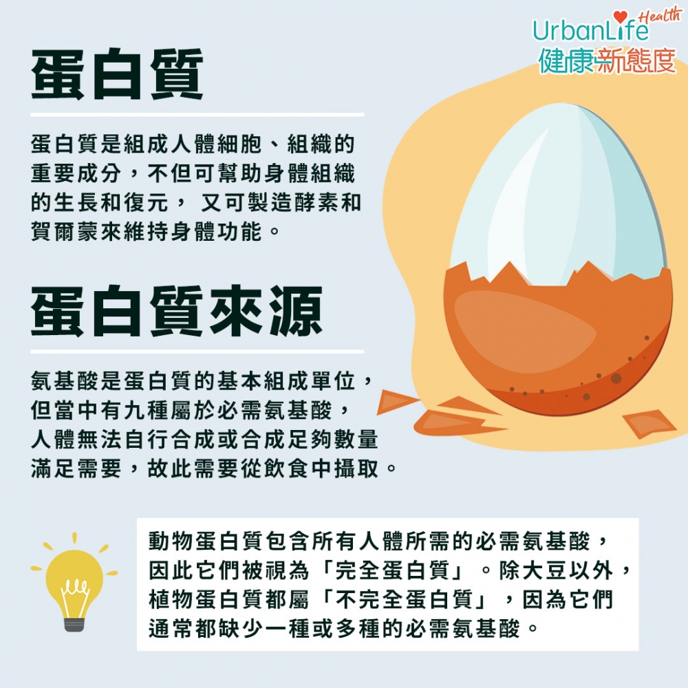蛋白質是人體不可缺少的營養素之一。