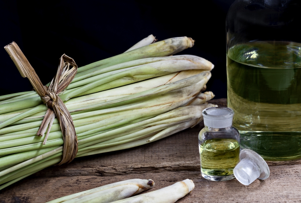 香茅油是常見的防蚊成分,具防蚊、驅蟲的作用。