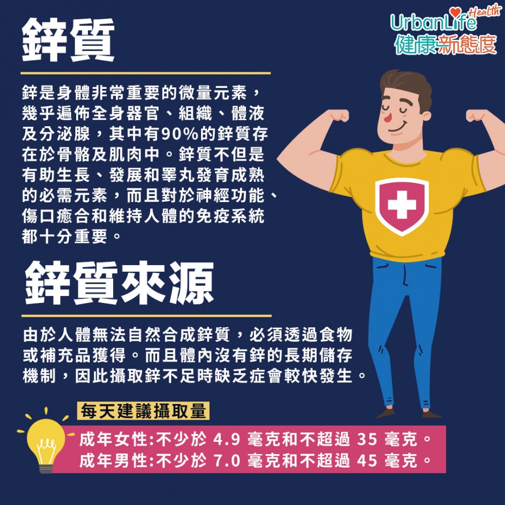 由於人體無法自然合成鋅質,必須透過食物或補充品獲得。