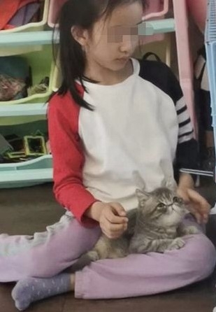女童媽媽表示5月1日帶小貓回家,女兒開始掉頭髮。