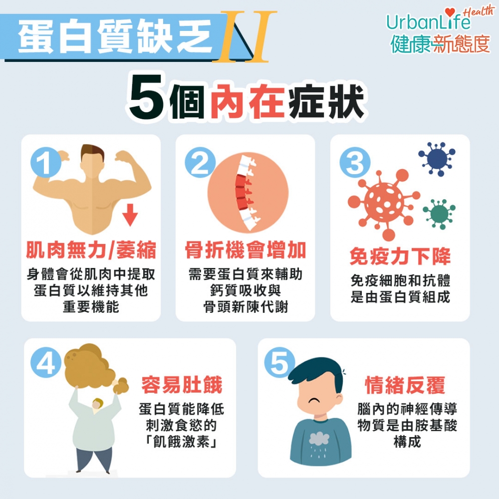 蛋白質能輔助鈣質吸收與骨頭新陳代謝,缺乏蛋白質會增加骨折機會。