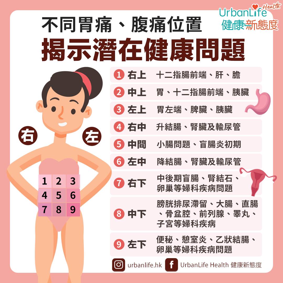不同的胃痛、腹痛位置代表著不同的潛在健康問題。