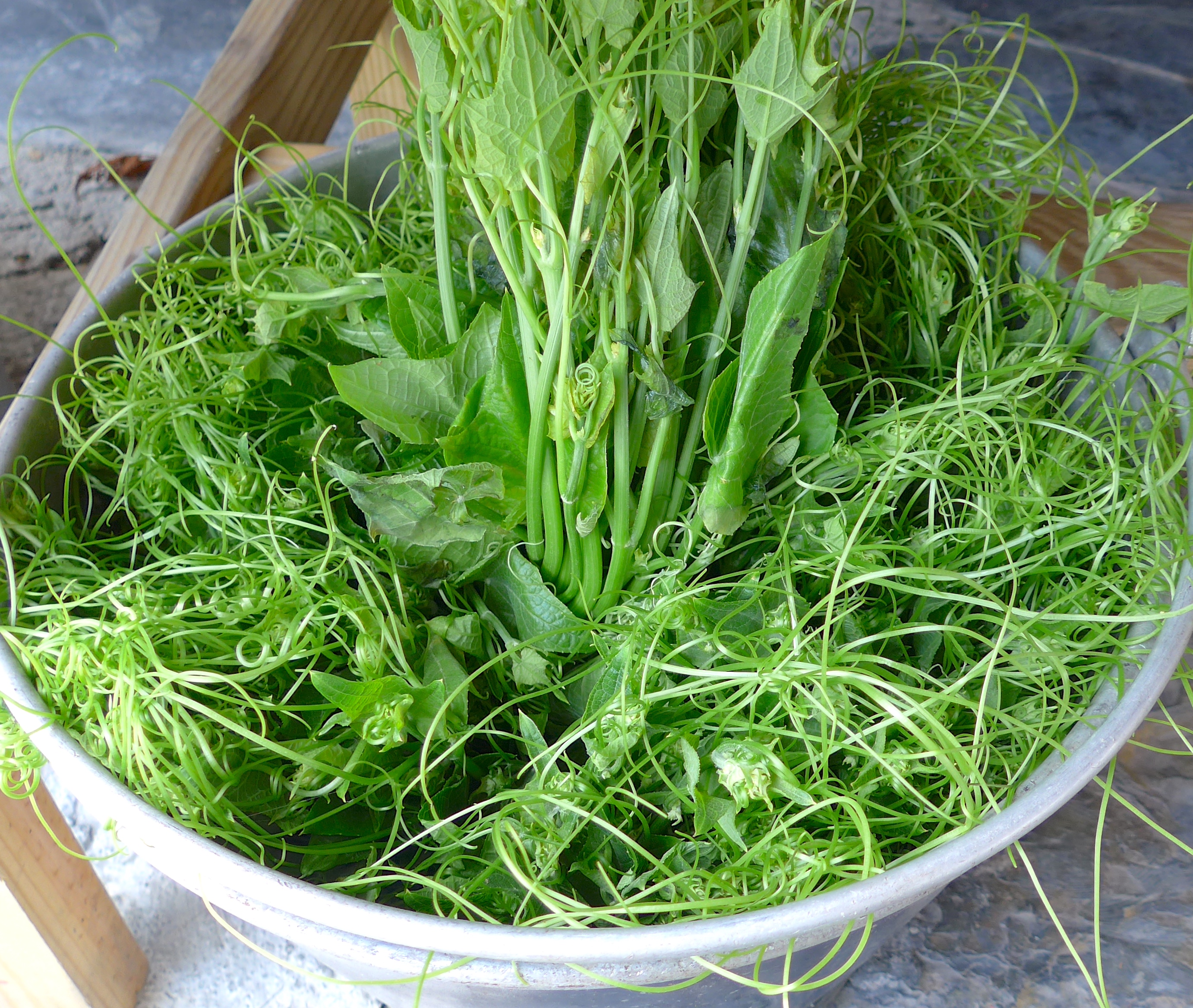 龍鬚菜又名柳絲藻、海米粉,是佛手瓜的嫩芽,每年4至10月是其產季。它低卡,富含豐富營養素及膳食纖維,有助腸胃道蠕動。