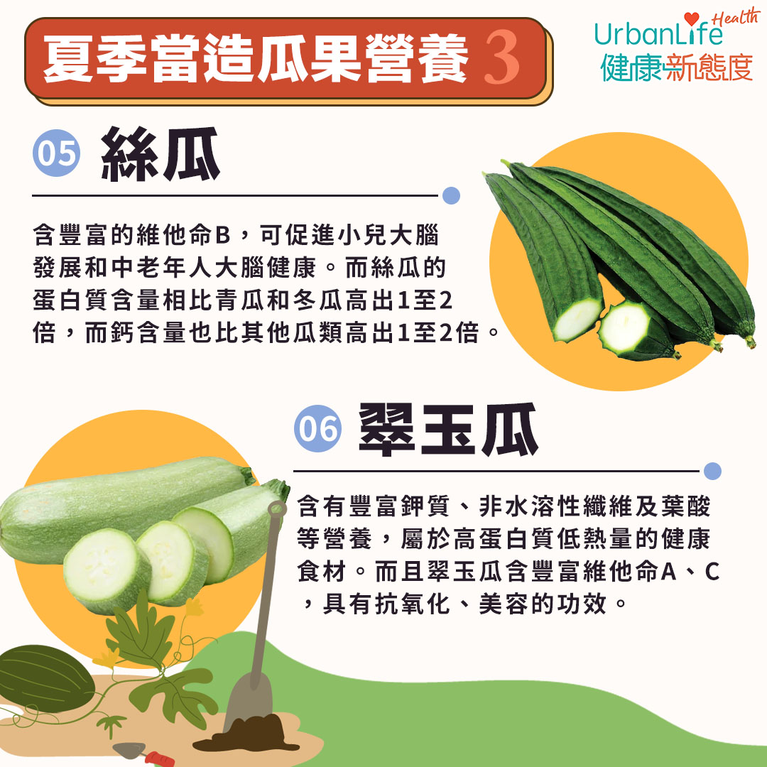 夏季當造瓜果營養