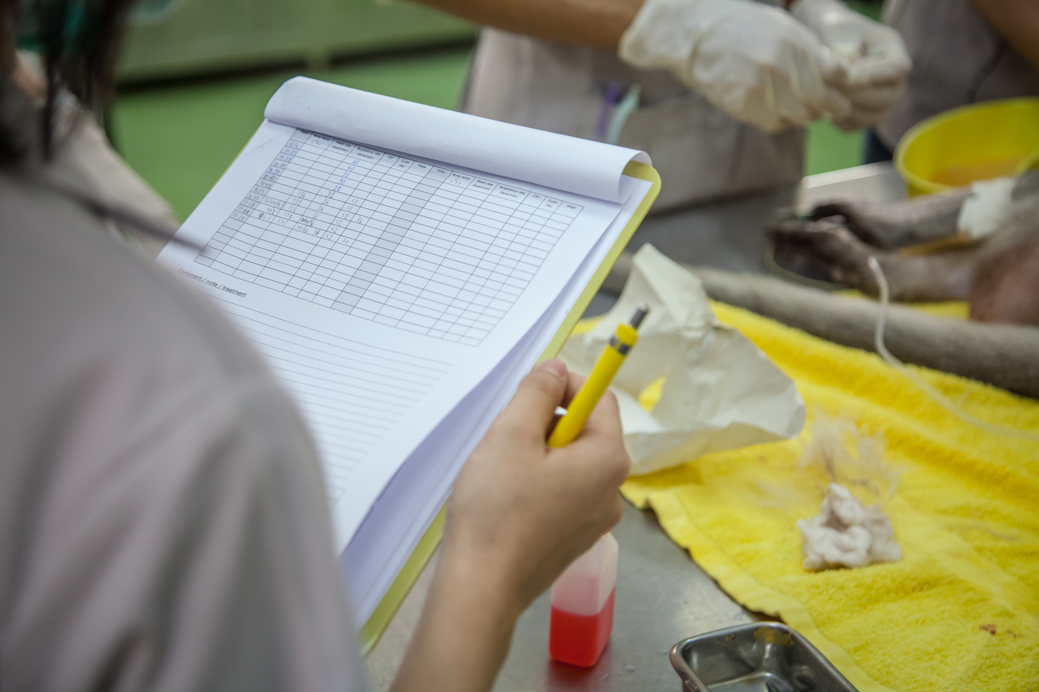 中國出現第1宗人類感染「猴B病毒」(Monkey B virus)後死亡的病例,患者是北京市一名53歲男性獸醫。