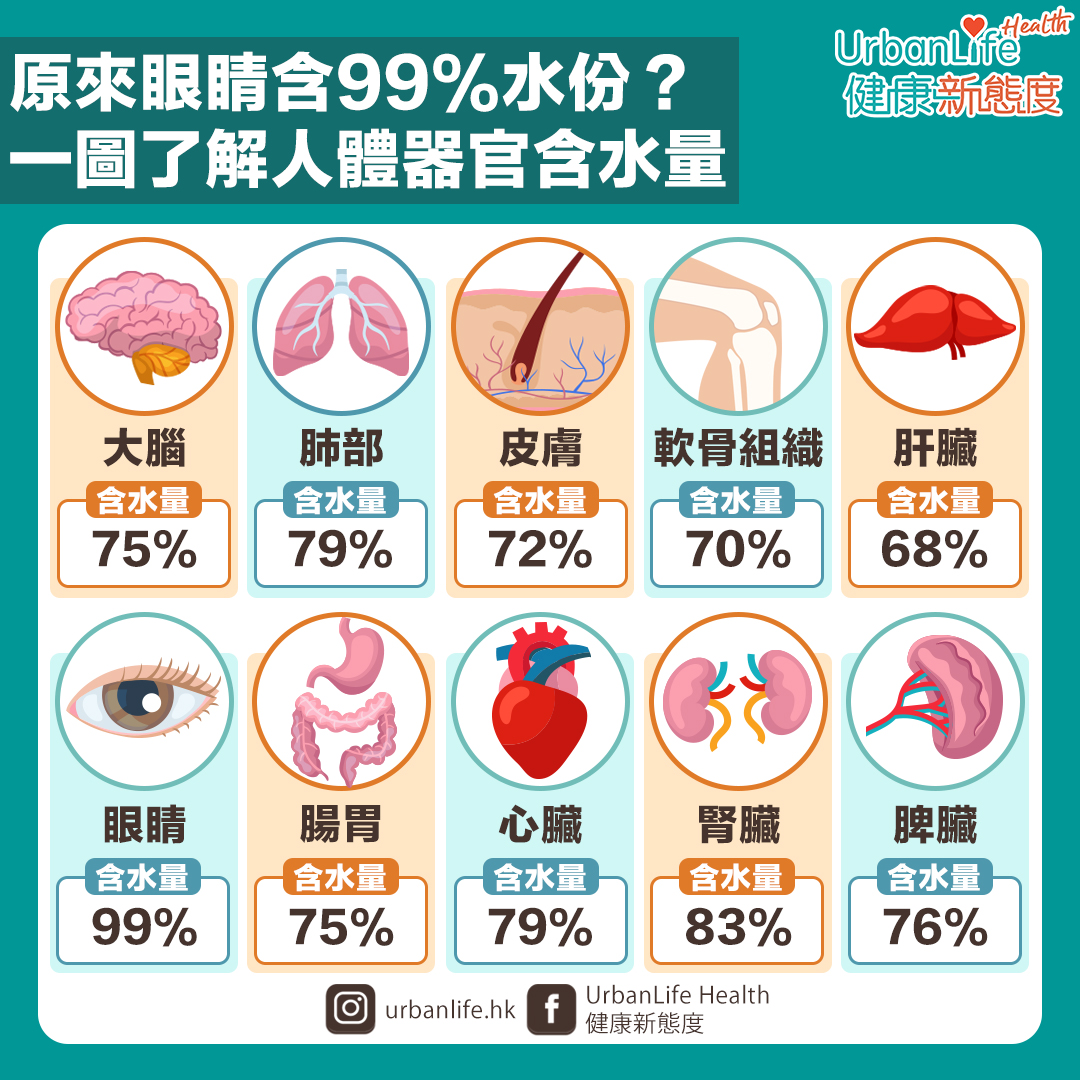 主要器官含水量及功能