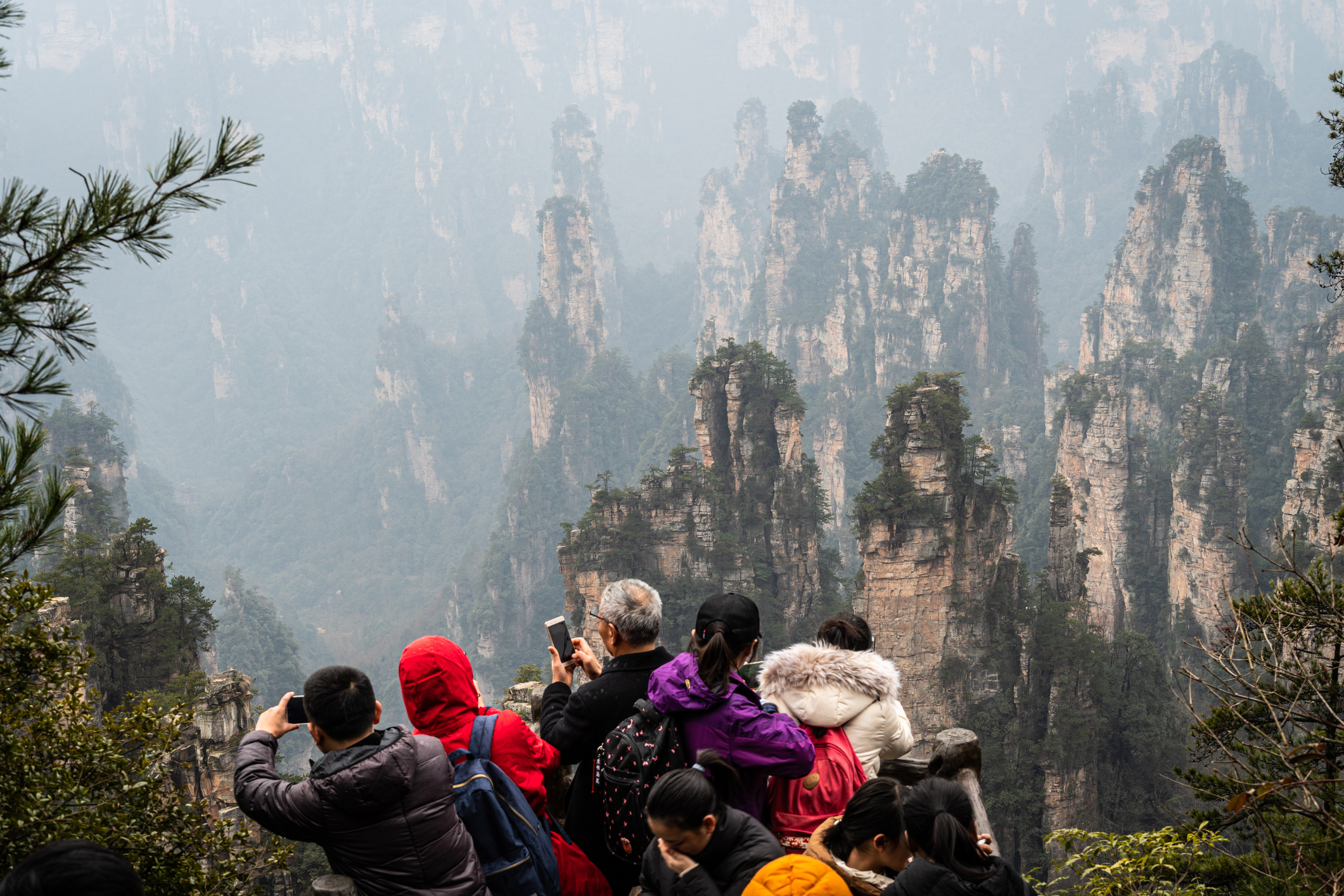 由於不少感染者曾到湖南張家界景區旅遊,張家界被視為傳播樞紐,該市宣布30日上午起所有景區全部關閉。