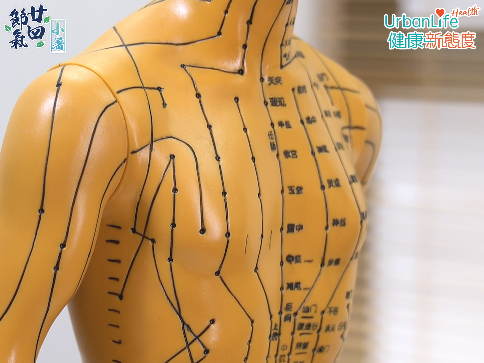 夏季宜養心、養生，不宜過喜過悲。