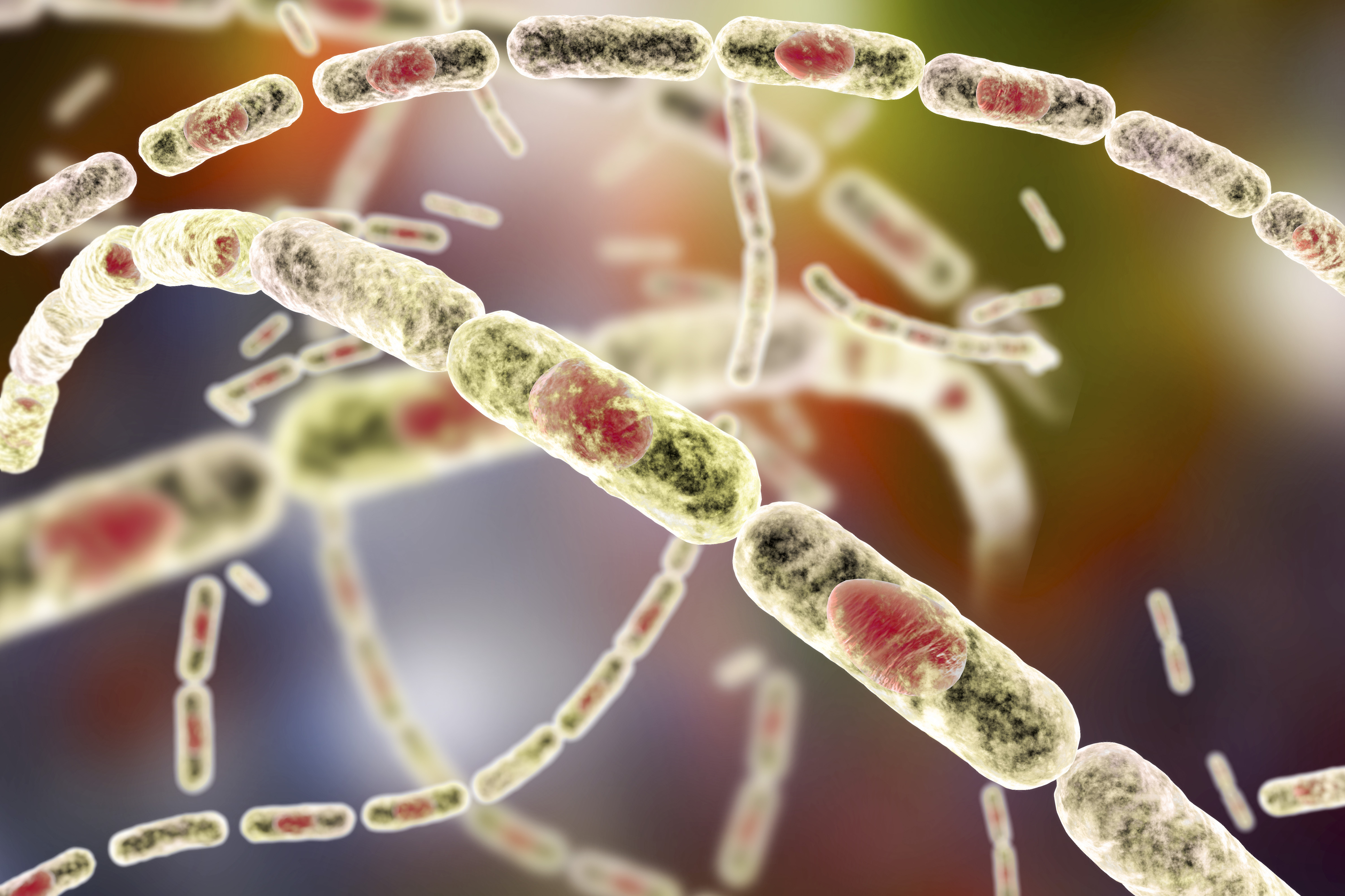 炭疽桿菌（通常是孢子形式）經由皮膚傷口（割傷、擦傷、蠅類叮咬等）進入人體，最常發生在臉部、頸部、手及腕部。