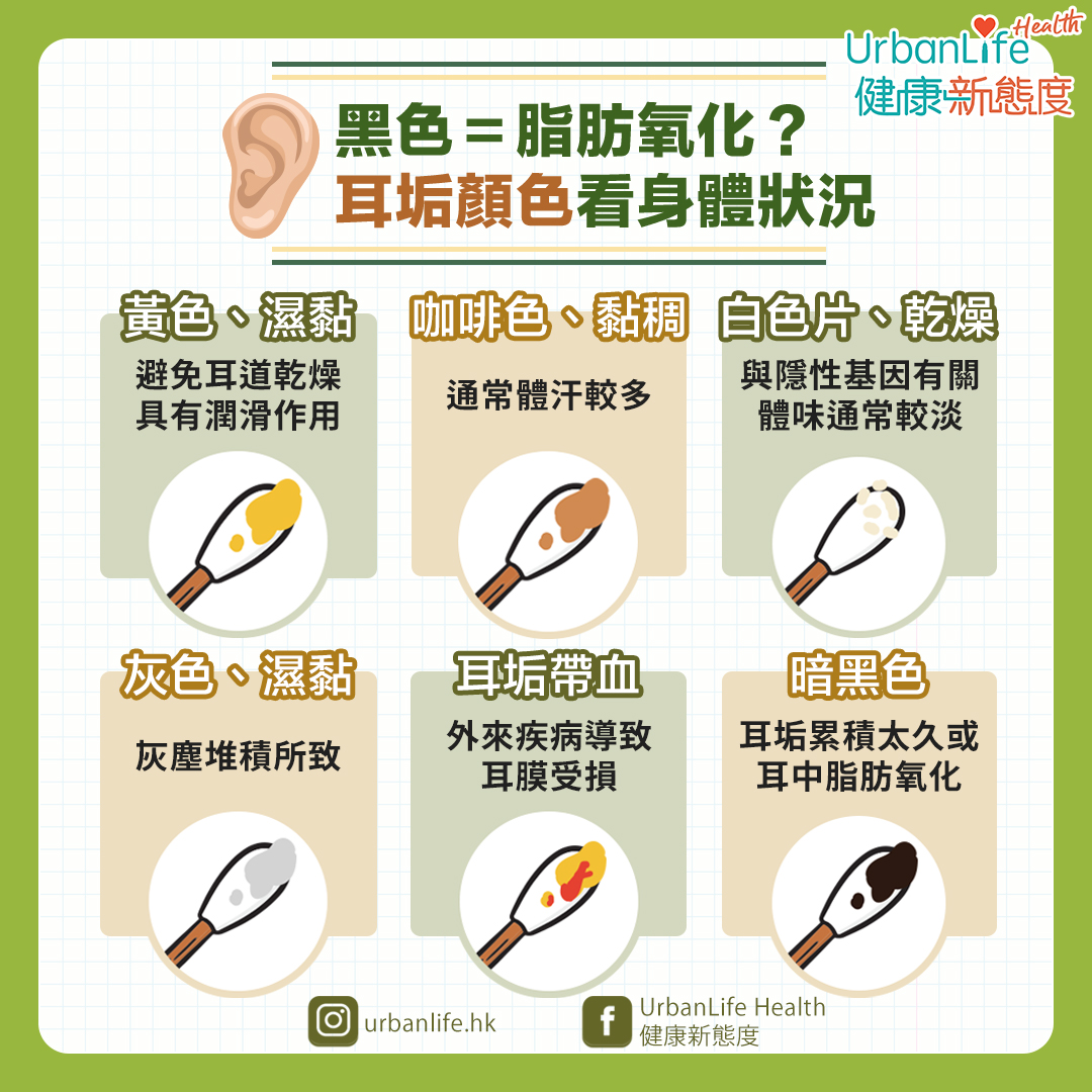 6種耳垢顏色