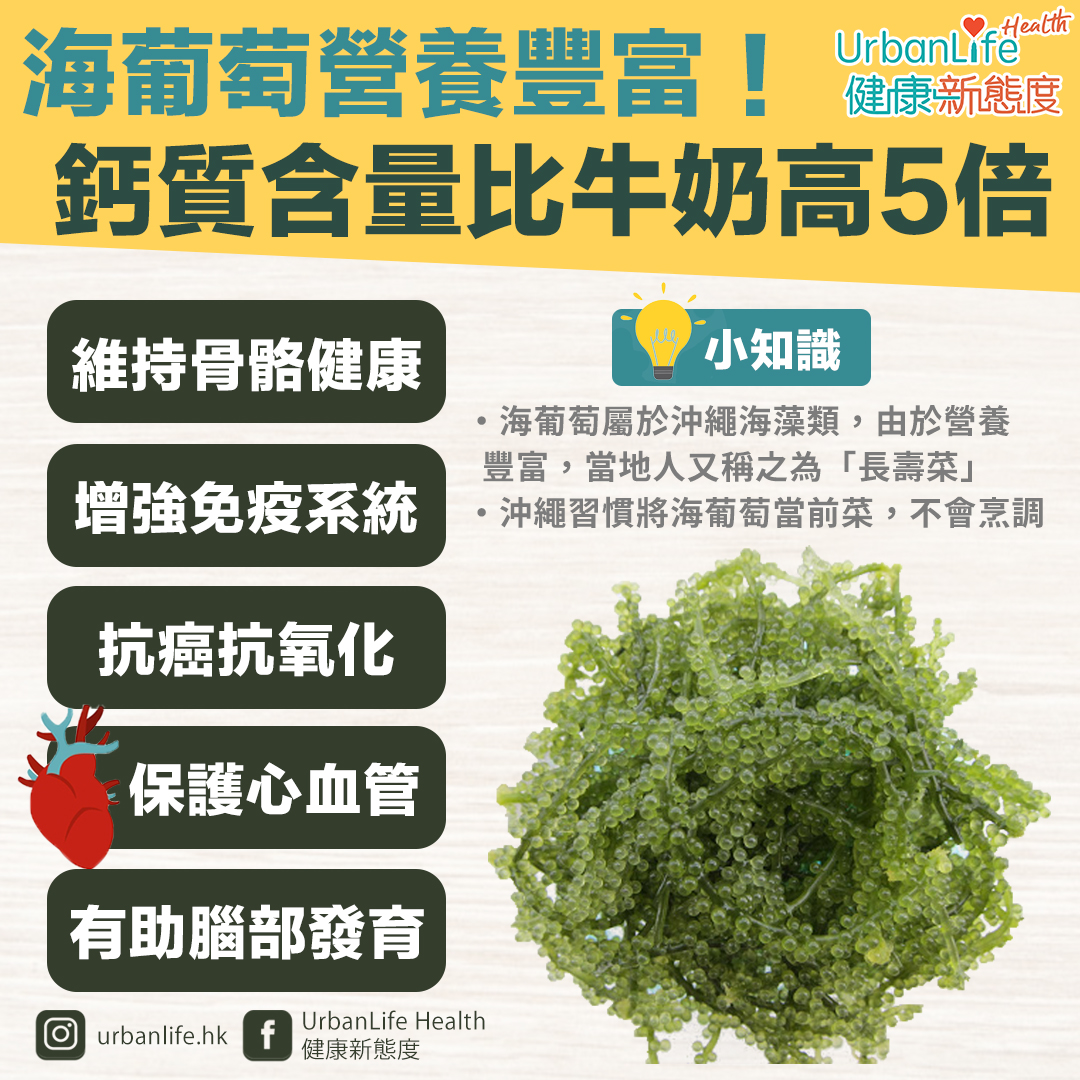 海葡萄營養豐富,鈣質含量比牛奶高5倍。