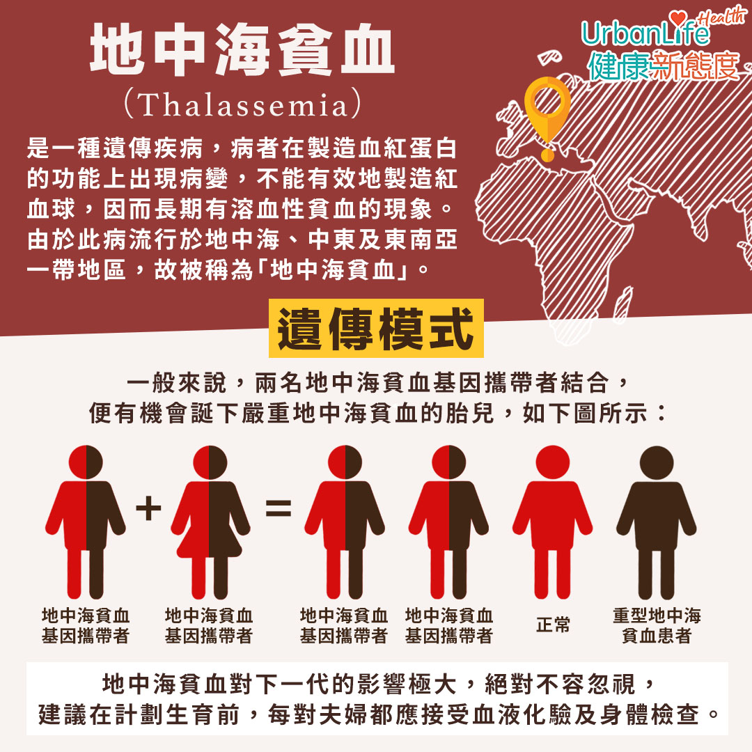 兩名地中海貧血基因攜帶者結合,便有機會誕下嚴重地中海貧血的胎兒。
