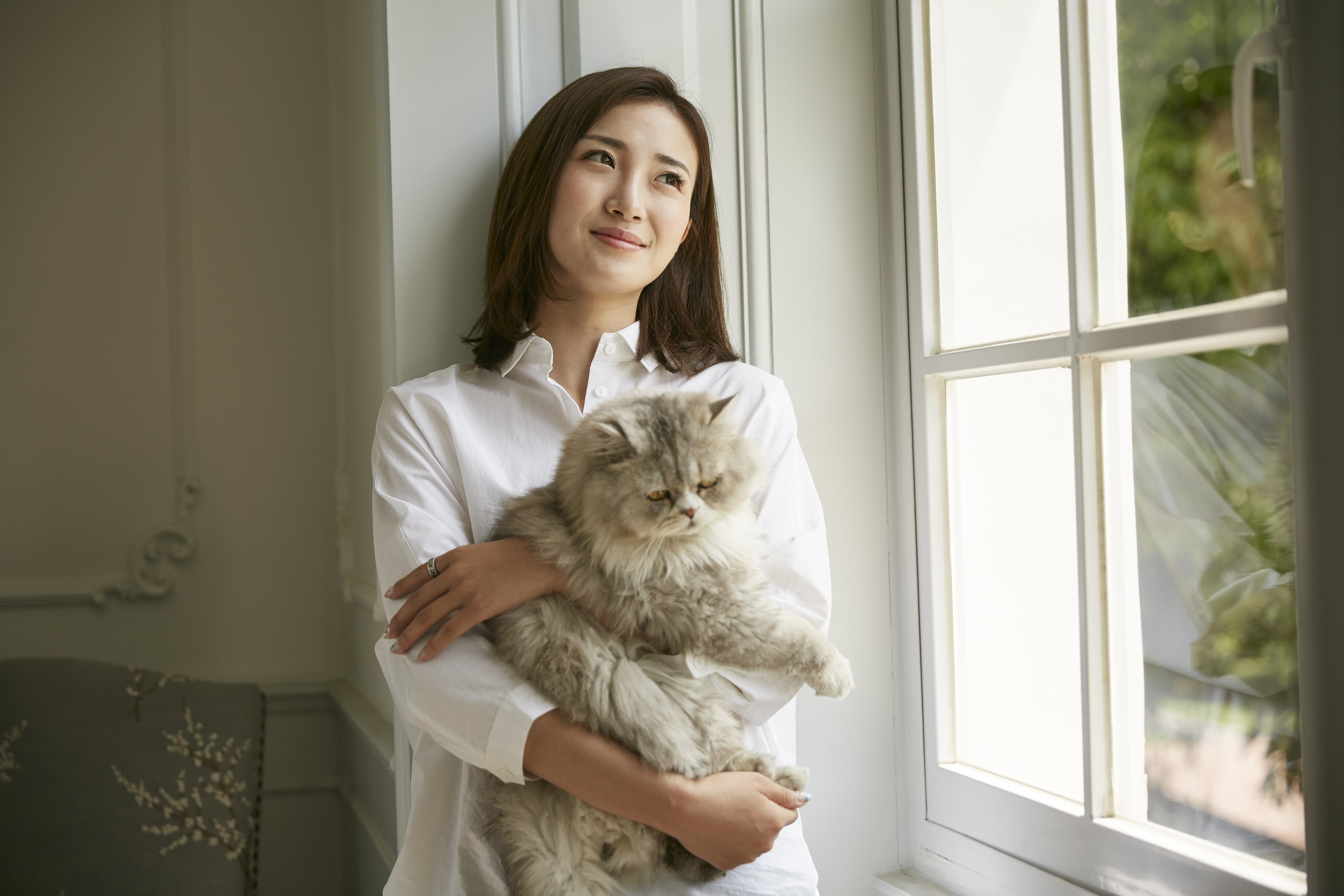 研究人員在健康貓身上發現的細菌，成功治療小鼠皮膚感染。